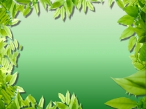 Презентация по биологии на тему Бактерии, их строение и жизнедеятельность