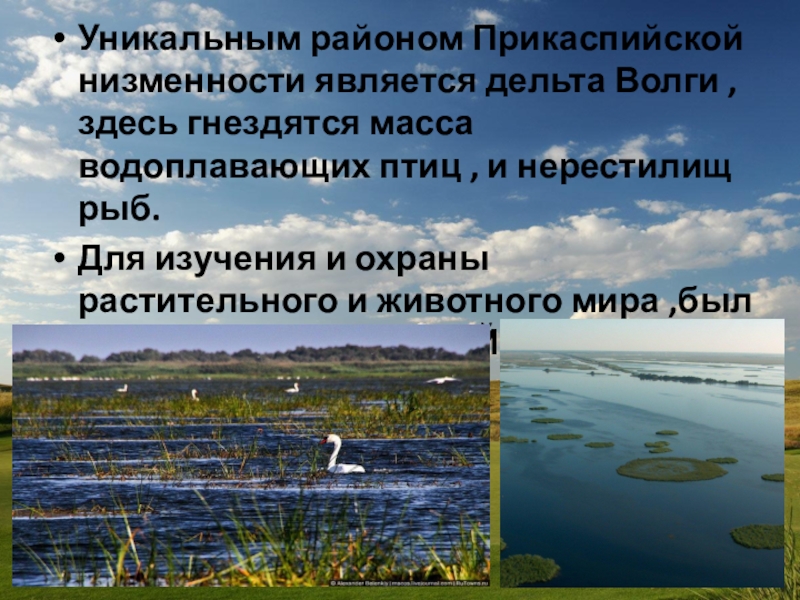 Низменность каспийского моря