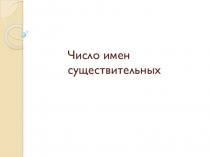 Презентация по русскому языку на тему Число имён существительных (3 класс)