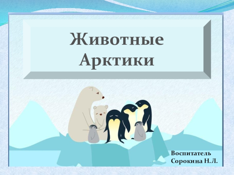 Презентация Презентация к проекту  Животные Арктики