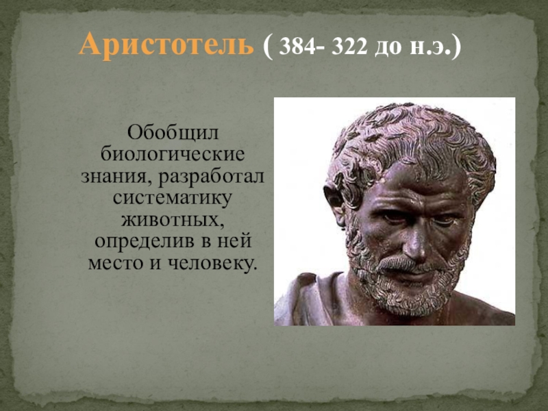 Биология обобщение знаний. Аристотель о человеке. По Аристотелю человек это. Аристотель о животных. Царства Аристотеля.