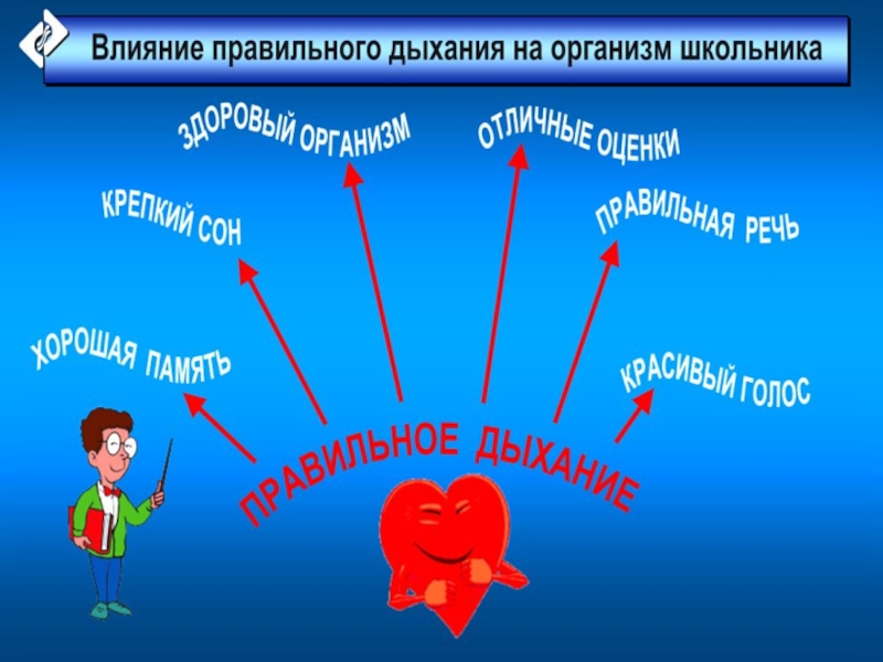 Правильное дыхание. Памятка о правильном дыхании. Влияние правильного дыхания на организм дошкольника. Правила дыхания. Памятка как правильно дышать.