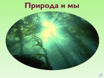 Презентация к уроку Окружающий мир и Литературное чтение Природа и мы