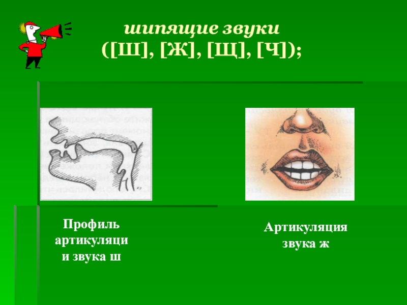 Артикуляция звука ш в картинках для детей