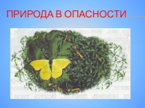 Красная книга РСО-А