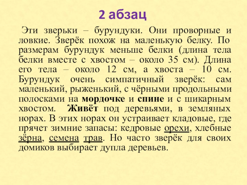 2 абзац Эти зверьки – бурундуки. Они проворные и ловкие. Зверёк похож на маленькую белку. По размерам бурундук