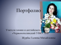 Портфолио молодого педагога