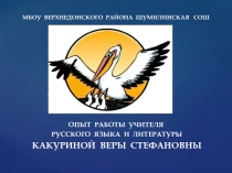 ПРЕЗЕНТАЦИЯ НА ТЕМУ  РЕАЛИЗАЦИЯ СИСТЕМНО-ДЕЯТЕЛЬНОСТНОГО ПОДХОДА НА УРОКАХ РУССКОГО ЯЗЫКА