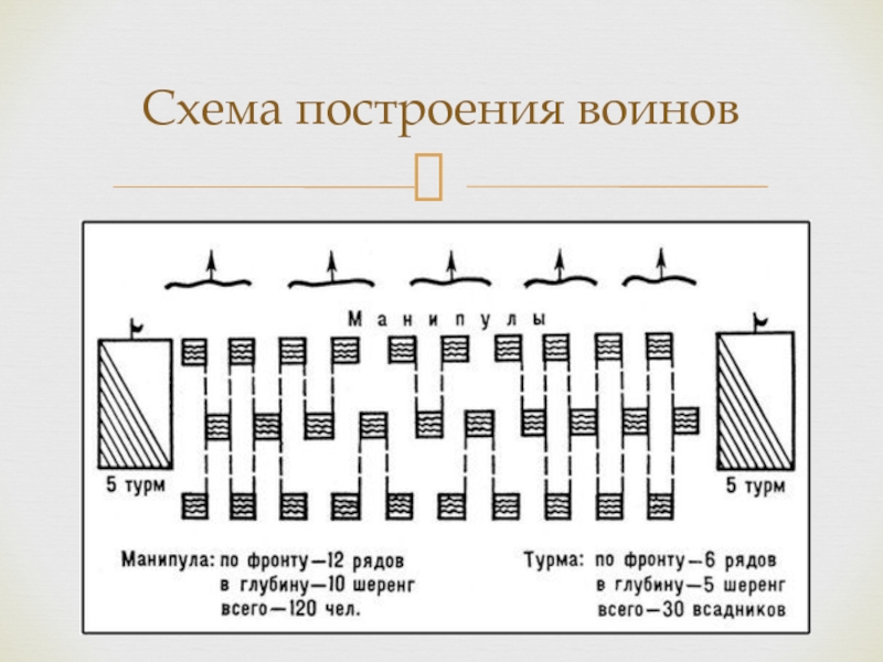 Описать рисунок построение легиона в три линии по истории 5 класс