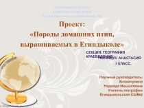 Презентация-проект Породы домашних птиц, выращиваемых в Егиндыколе