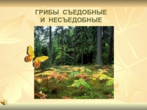 Интегрированный урок. Русский язык и окружающий мир (3 класс)