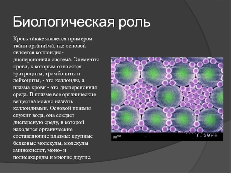 Организм показанный на рисунке стал основной для промышленного получения