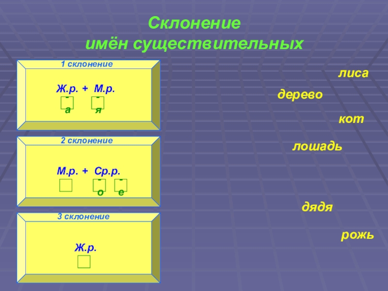 3 склонение имен существительных родительный падеж. Таблица «склонение вопросительных местоимений». Просклонять по падежам слово тень. Просклонять кот. Склонение притяжательных местоимений.