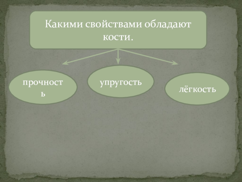 Какими свойствами обладает проект