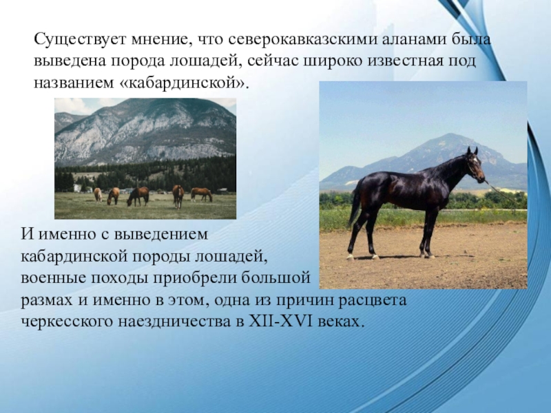 Рассмотрите фотографию черной лошади породы кабардинская и выполните задания
