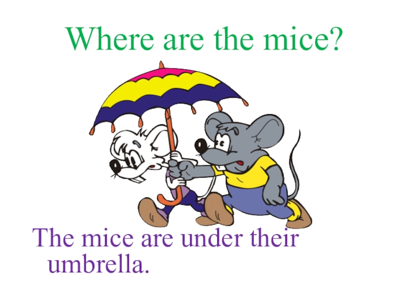 The mice were