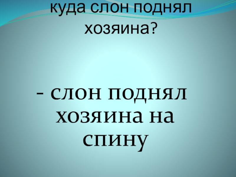 куда слон поднял хозяина? - слон поднял хозяина на спину