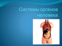 Системы органов человека Биология 8