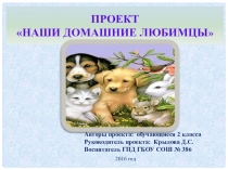Презентация Наши домашние любимцы
