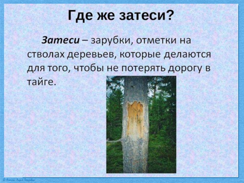 Астафьев затеси презентация