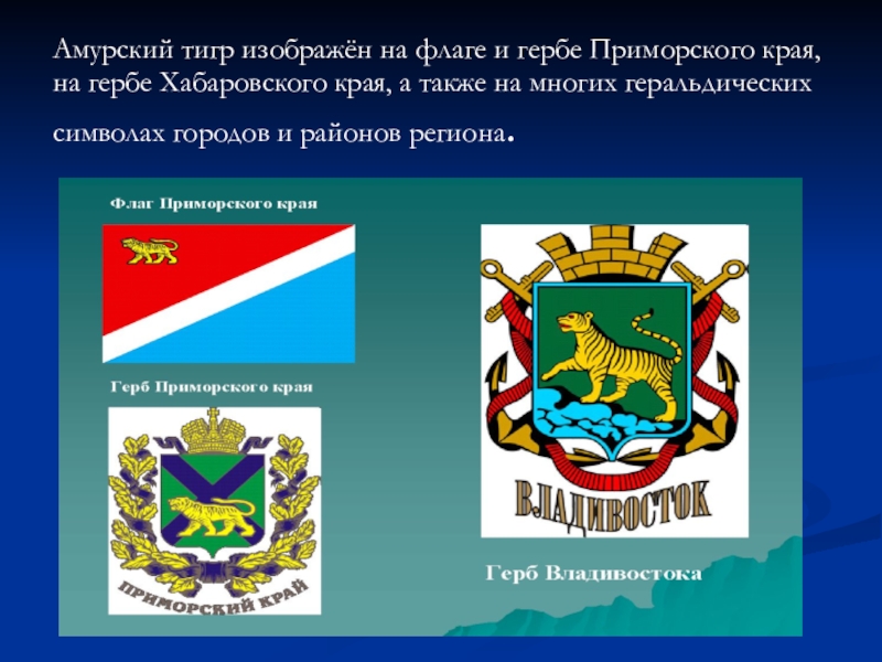 Фото герба края. Герб и флаг Приморского края. Герб Владивостока и Приморского края. Тигр на гербе Приморского края. Символы Приморского края.