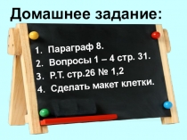Презентация по биологии на тему Строение клетки 2 урок (5 класс)