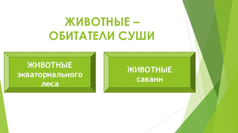 Обитатели суши. Животные суши презентация. Презентация животные обитатели суши 3 класс. Биология 6 класс тест растения стали первыми обитателями суши………….