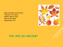 Презентация по окружающему миру Что это за листья?(1класс)