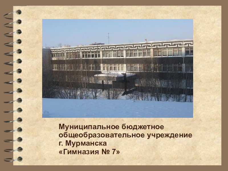 Бюджетное общеобразовательное учреждение. Г. Мурманск ,гимназия №7.