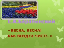 Презентация по литературному чтению.Баратынский Весна,весна!Как воздух чист...(4 класс)