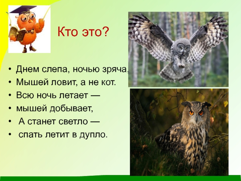 Сова рассказ 2 класс. Презентации Бианки Сова. Презентация Сова 2 класс. Филин презентация 2 класс. В Бианки Сова 2 класс.