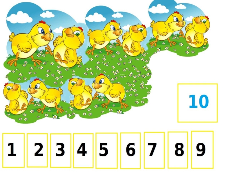10 мая какое число. Цифра 10 для презентации. Число и цифра 10 презентация. Тема число и цифра 10. 10 Цыплят.