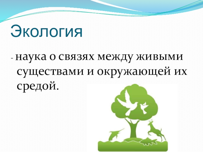 Презентация что такое экология 3 класс окружающий мир презентация