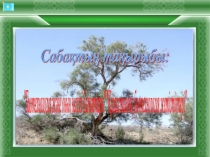 Презентация:Биотехнология және оның негізгі бағыттары Қазақстандық биотехнология жетістіктері