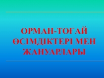 Дүниетану пәнінен Орман-тоғай өсімдіктері мен жануарлары тақырыбына презентация