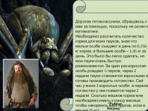 Презентация по математике на тему Умножение десятичных дробей 5 класс