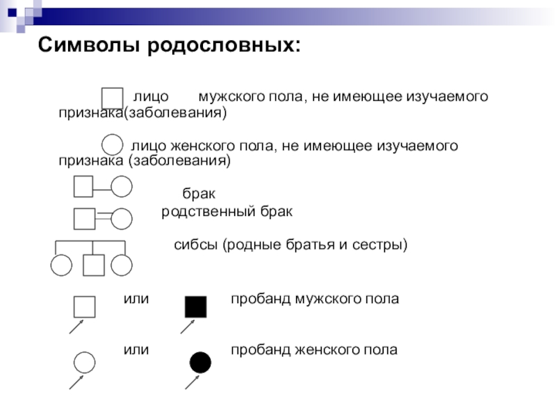 Сибсы. Символы родословной. Генеалогический метод символы. Графические символы в родословной. Символы родословной генетика.