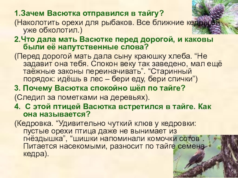 Сочинение по литературе как васютка выжил в тайге 5 класс по плану