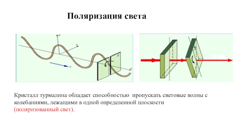 Поглощение поляризованного света