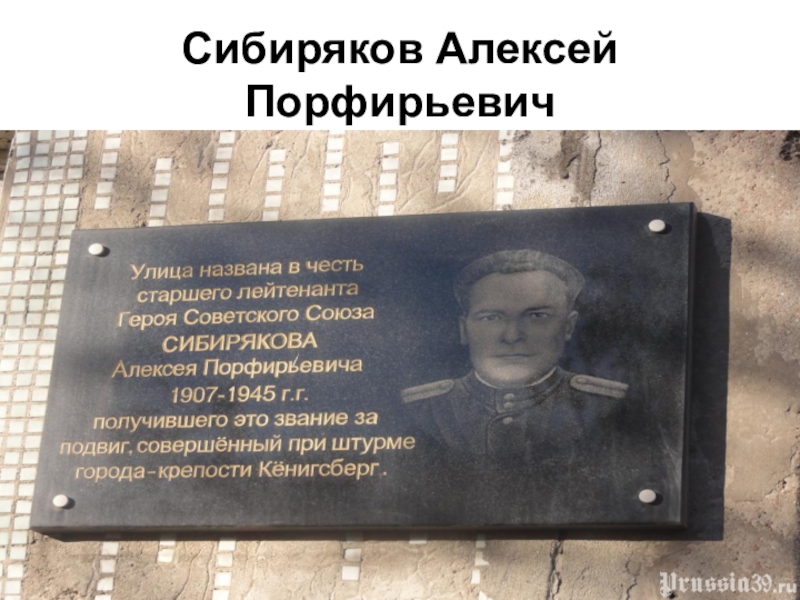 В честь кого назвали воронеж. Сибиряков герой советского Союза.