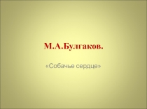 Презентация по литературе Михаил Булгаков Собачье сердце