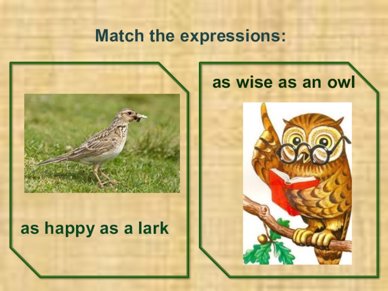 Match the expressions. As Happy as a Lark. Wise as an Owl. Lark and Owl. Lark or Owl.