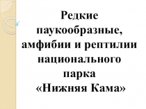 Редкие паукообразные, амфибии и рептилии национального парка Нижняя Кама