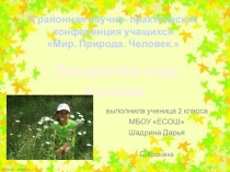 Презентация к проекту лекарства под ногами