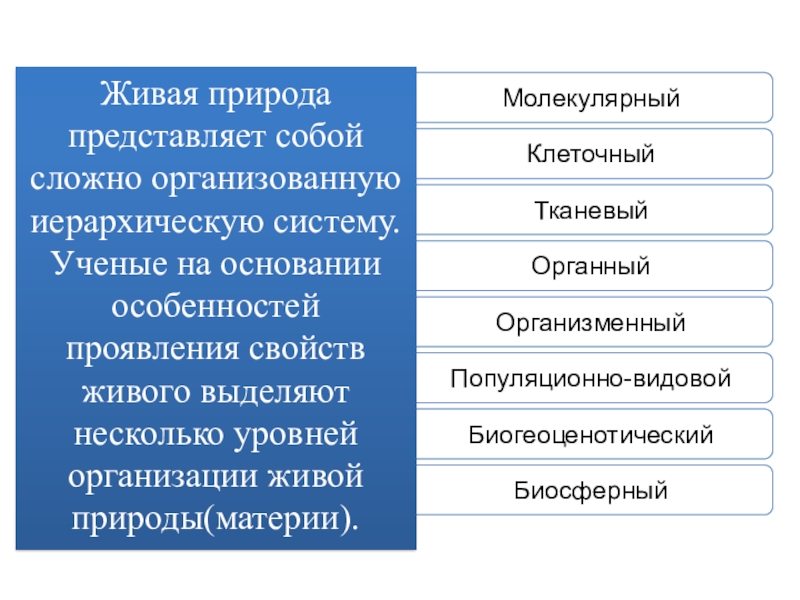 Организация живого это. Уровни организации живой природы. Уровни организации живого. Уровни организации текста. Формы организации живого.