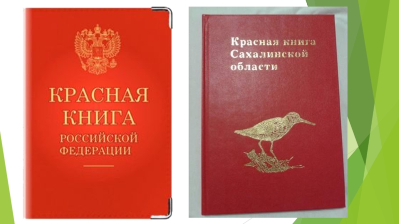 Проект красная книга сахалинской области