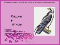 Презентация по биологии на тему Хищные птицы