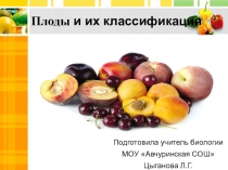 Презентация по биологии на тему Плоды и их классификация (6 класс)