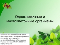 ПРЕЗЕНТАЦИЯ Многообразие клеток одноклеточных и многоклеточных организмов