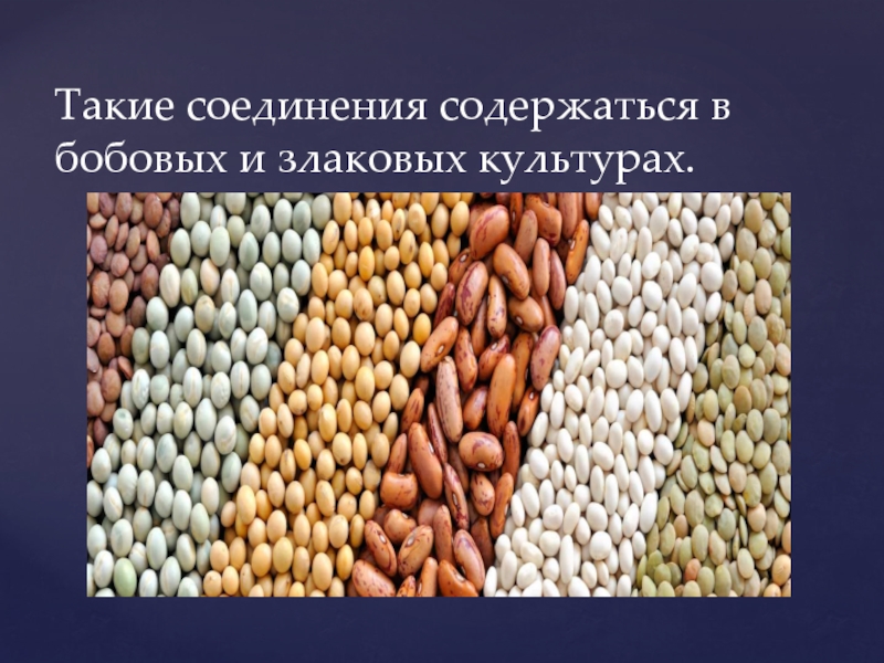 Что не относится к бобовым культурам. Бобовые и злаковые. Бобовые витамины содержит. Витамины содержащиеся в злаковых культурах. Бобовые и злаковые падают для фотошопа.